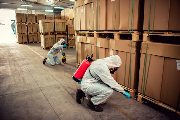 Best Residential Pest Control  in Crossville, AL