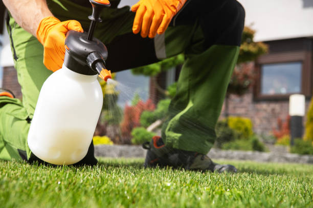 Best Pest Control Near Me  in Crossville, AL