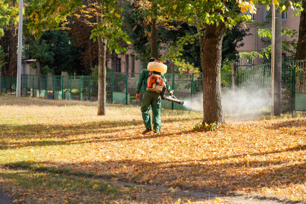 Best Commercial Pest Control Services  in Crossville, AL