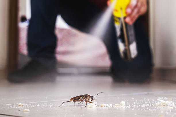 Reliable Crossville, AL Pest Control Solutions