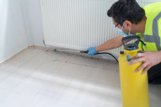 Best Local Pest Control Services  in Crossville, AL