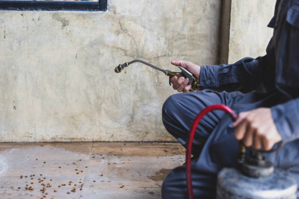 Pest Control for Restaurants in Crossville, AL